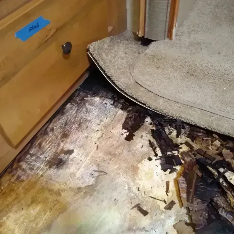 Best Wood Floor Water Damage Service in La Grange Park, IL